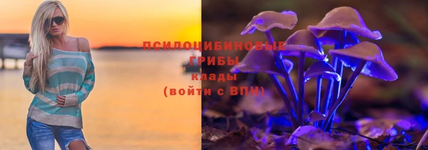 марки nbome Бородино