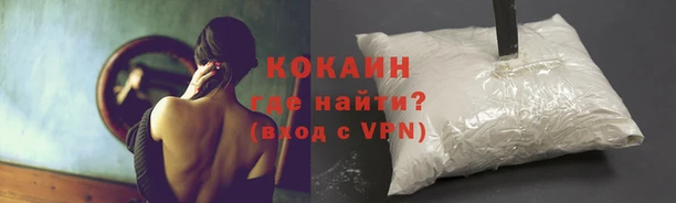 марки nbome Бородино